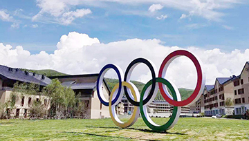 Smart Winter Olympics Dream Building Frozen